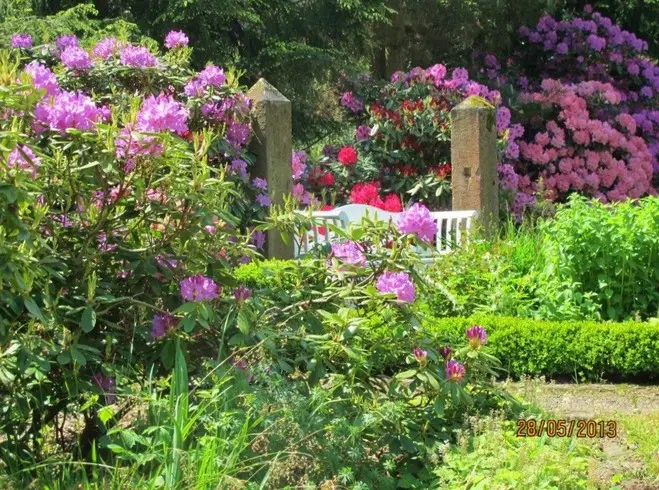 Neue Fotos vom Gartenbesitzer geschossen – Projektfoto