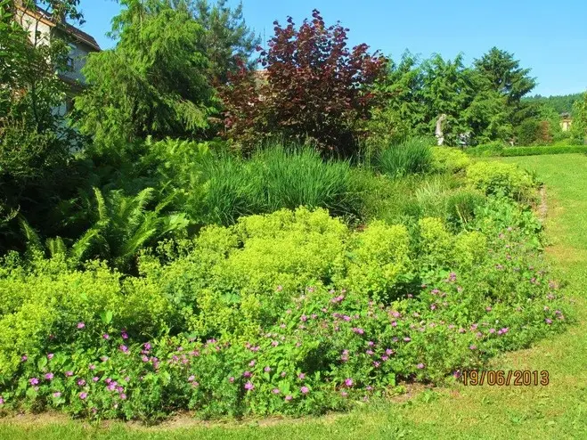 Neue Fotos vom Gartenbesitzer geschossen – Projektfoto