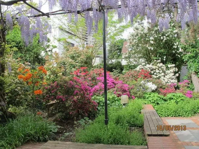 Stadtgarten in Frankfurt am Main – Projektfoto