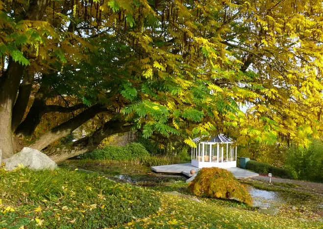 Garten im Sauerland – Projektfoto