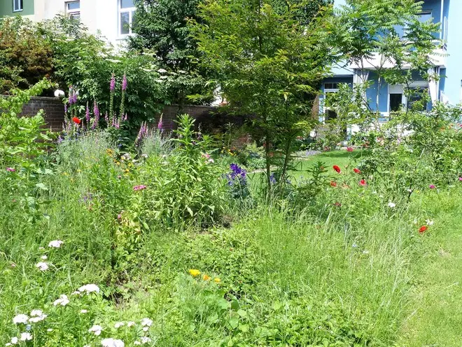 März 2016 – Projektfoto