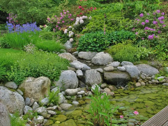 Garten mit Schwimmteich und überdachter Terrasse – Projektfoto