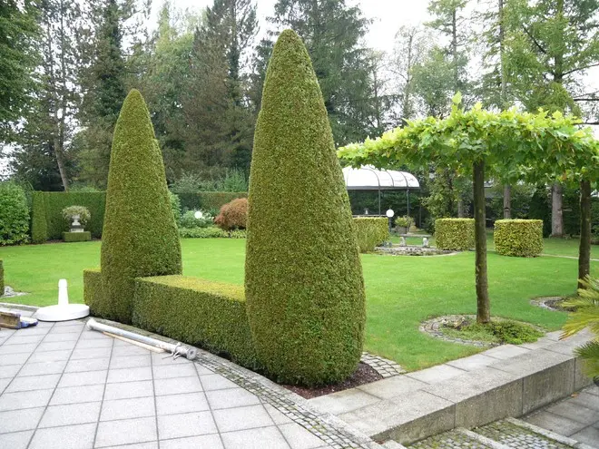 Als nächster Schritt: die Rodung der Hecke und der "Öko-Pershings"