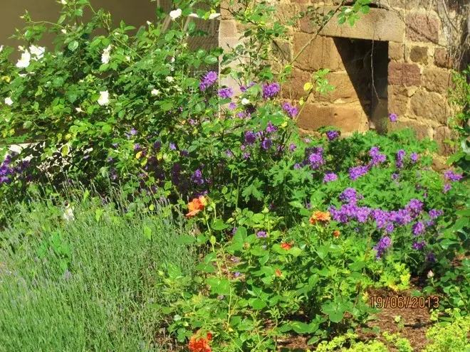 Neue Fotos vom Gartenbesitzer geschossen – Projektfoto